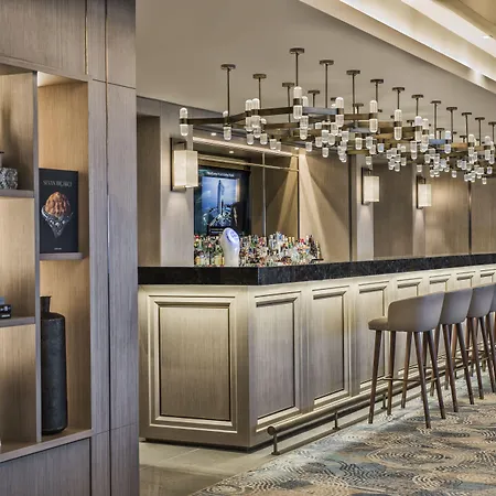 르네상스 폴랏 5*