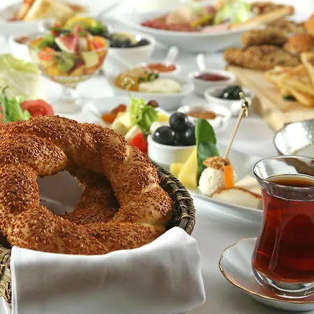 Hotel Renaissance Polat