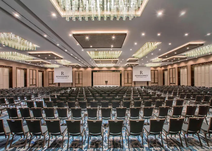 Renaissance Polat Стамбул