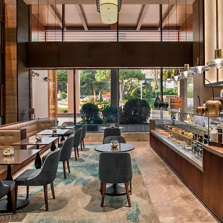 万丽波拉特伊斯坦布尔酒店 酒店 5*